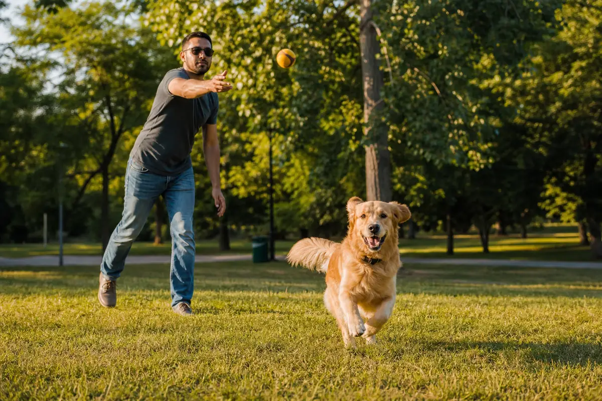 Candid action shot of a man playing fetch with his dog at a sunny park for dating app photos