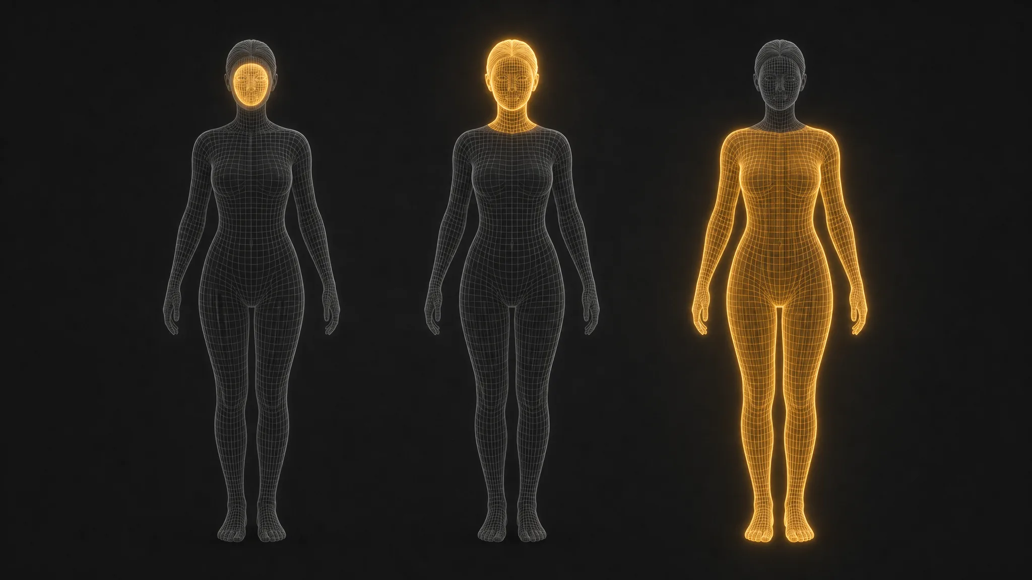 Three wireframe figures with progressively larger highlighted regions: the face, the whole head, and the full body
